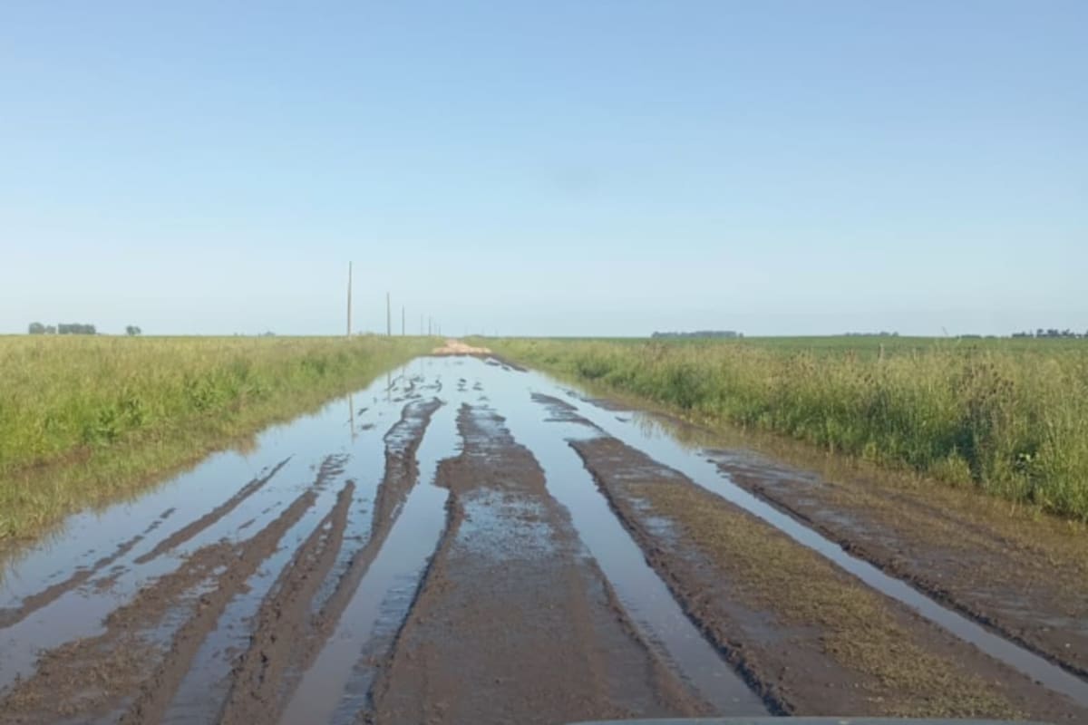 Un camino rural en Necochea