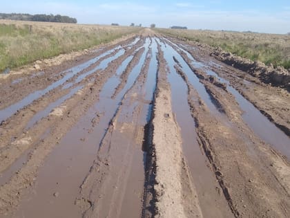 Un camino rural en Azul