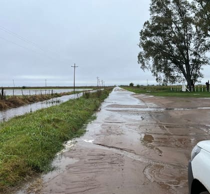 Un camino rural en Carlos Casares