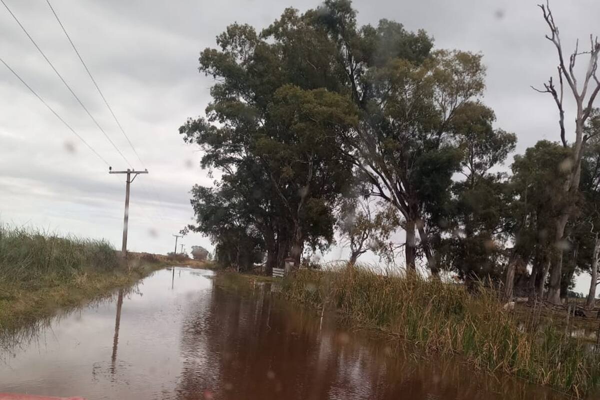 Un camino rural en el partido de Bolívar