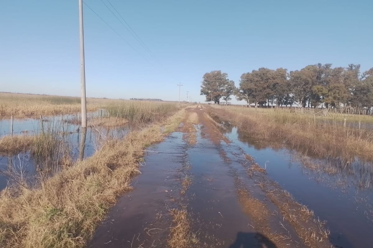 Un camino rural en Henderson. Gentileza productores