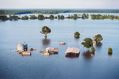 DESASTRE HÍDRICO. Una granja bajo el agua en el delta del Mississippi (EE.UU.); en ecosistemas alterados por el cambio climático, la inundación es la otra cara de la escasez