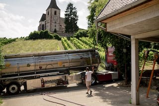 Vino francés: por qué lo convierten en gel antibacterial