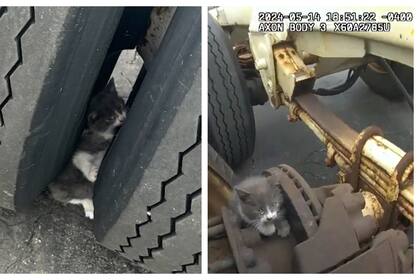 Un camionero encontró un gatito atrapado en una rueda de su camión (Captura Ohio State Highway Patrol)