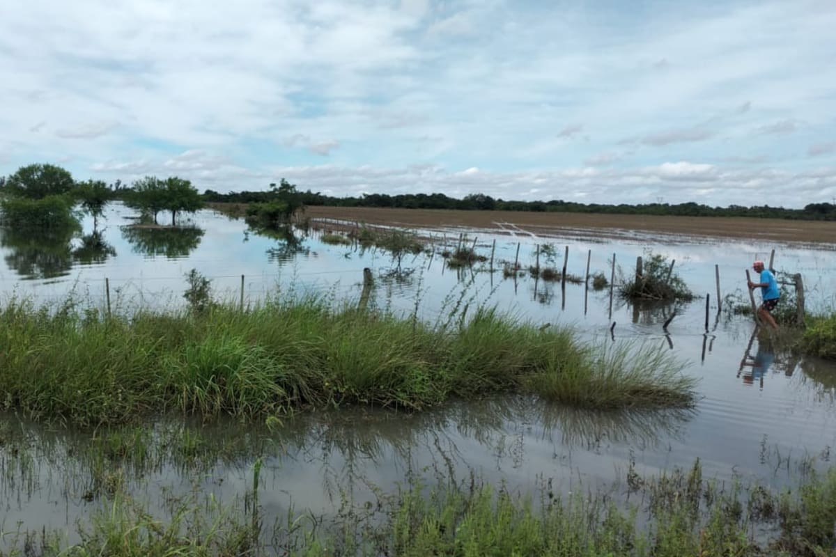 Un campo anegado en el norte de Reconquista