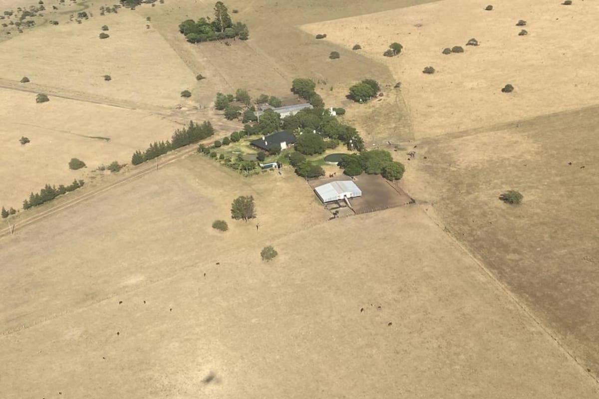 Un campo en el norte entrerriano, cerca de Chajarí