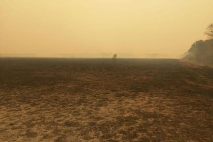 Un campo en Formosa quedó completamente destruido por los incendios