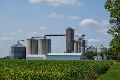 Un campo en Illinois, Estados Unidos, donde la hectárea supera los US$42.000