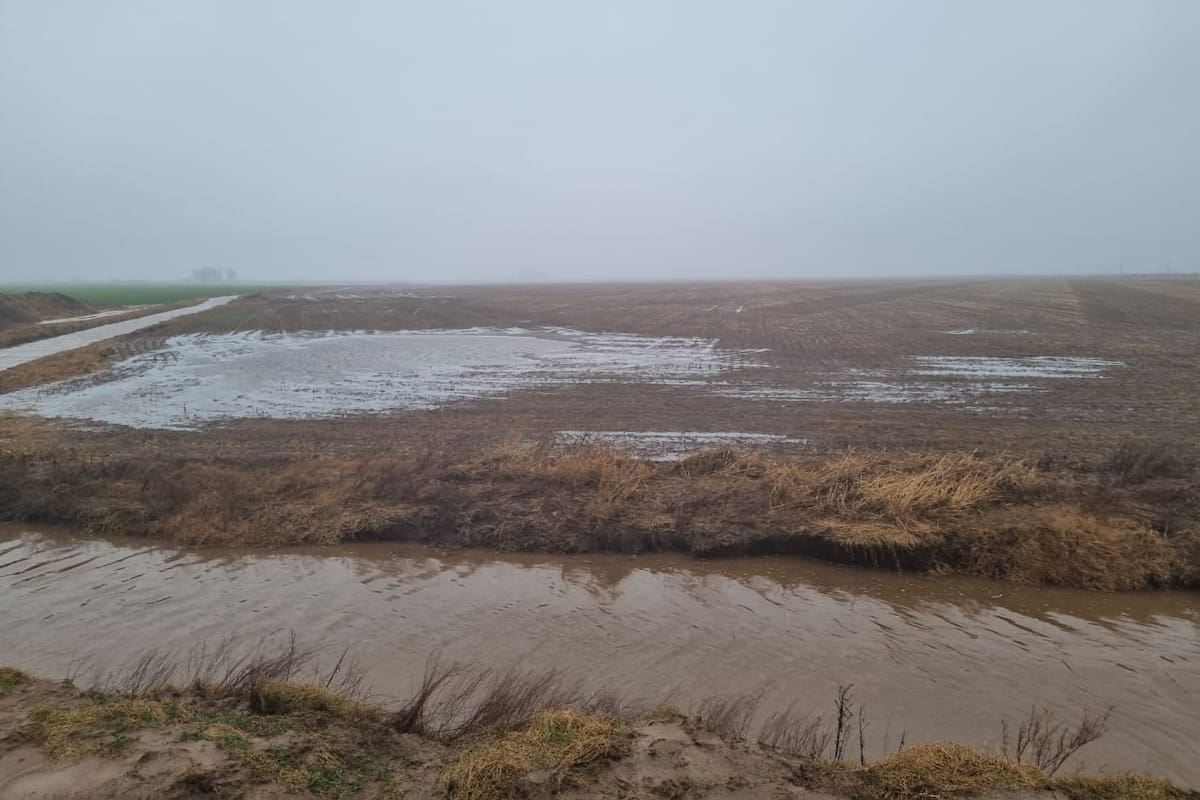 Un campo en Monte Buey tras las lluvias