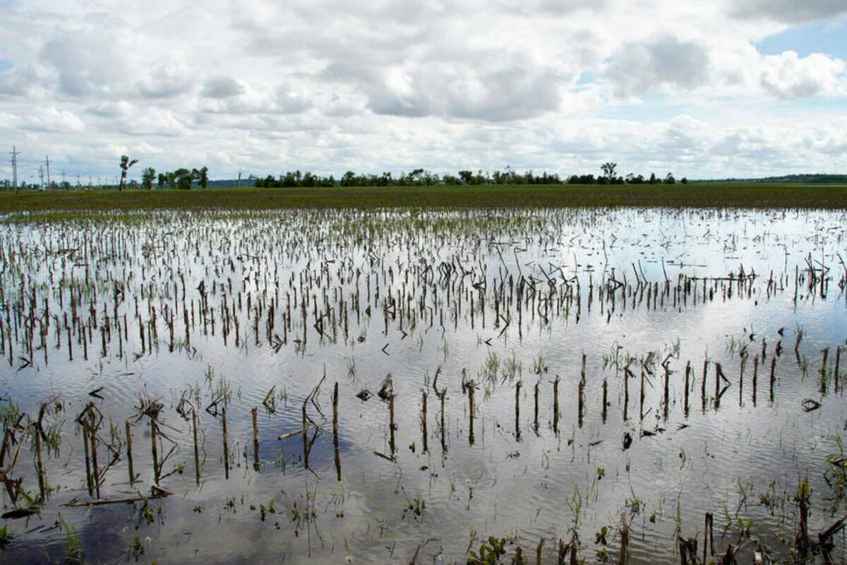 Un campo inundado en las cercanías del Río Missouri, en Bellevue, Nebraska
