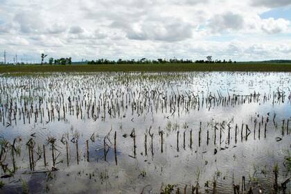 Un campo inundado en las cercanías del Río Missouri, en Bellevue, Nebraska