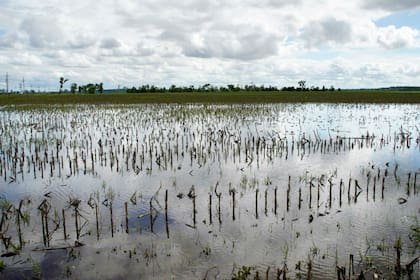 Las lluvias demoraron la siembra de soja y maíz en EE.UU. Un campo inundado en las cercanías del río Missouri, en Bellevue, Nebraska