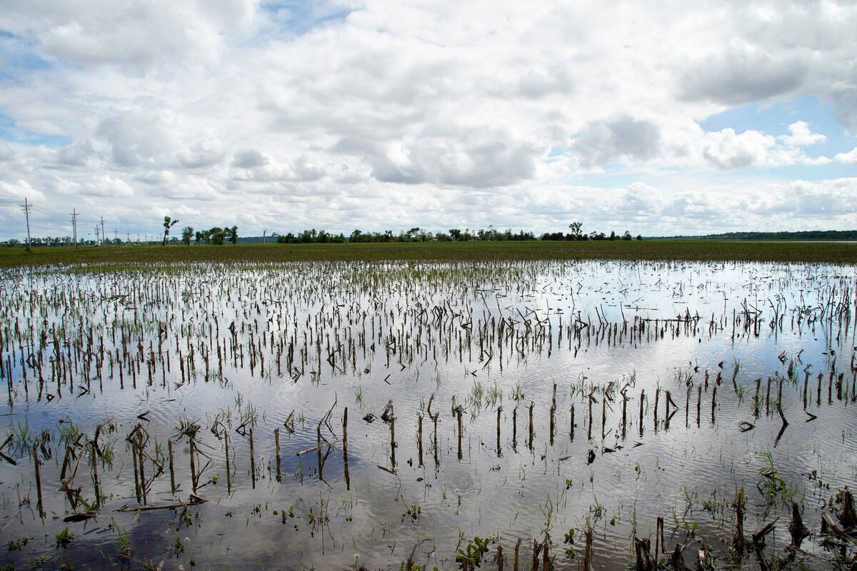 Un campo inundado en las cercanías del Río Missouri, en Bellevue, Nebraska