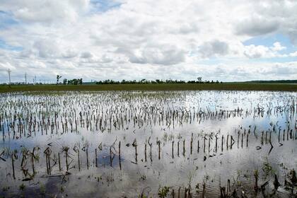 Un campo inundado en las cercanías del Río Missouri, en Bellevue, Nebraska