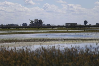 Un campos inundado el año pasado en la zona de 9 de Julio