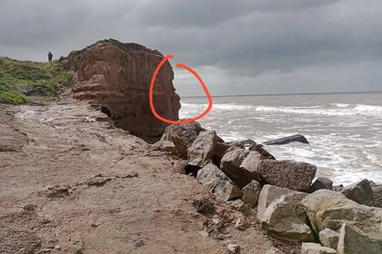 Un caniche se cayó por un acantilado de 25 metros de altura en la zona de Parque Camet, Mar del Plata