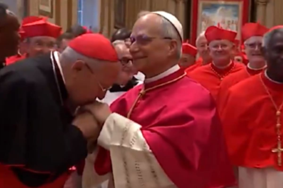Un cardenal le besa la mano a Robert Francis Prevost al finalizar el cónclave y tras su nombramiento como sumo pontífice