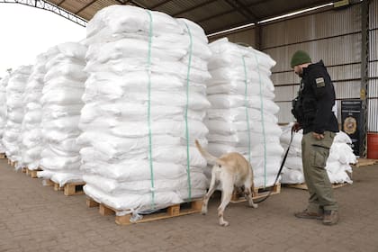 Un cargamento de 4013 kilos de cocaína fue detectado el mes pasado en Paraguay antes de que fuese transportado por la Hidrovía; el destino final era el puerto de Amberes, en Bélgica.