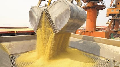 Un cargamento de harina de soya, en el puerto de Nantong, provincia de Jiangsu
