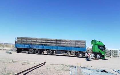 Un cargamento de materiales rumbo a Vaca Muerta, donde construyeron casi 200 casas