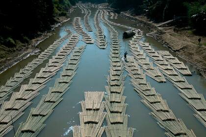 Un cargamento de troncos de bambú baja el río Longai, en India
