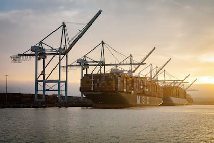 Un carguero con cientos de containers en el puerto de Los Angeles