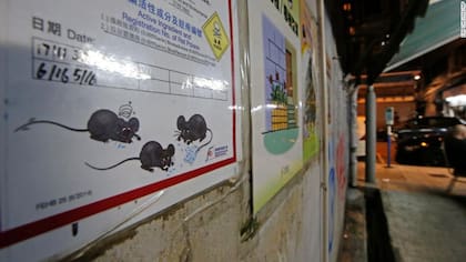 Un cartel indica que se ha echado veneno para ratas en un callejón, en Hong Kong (CNN).