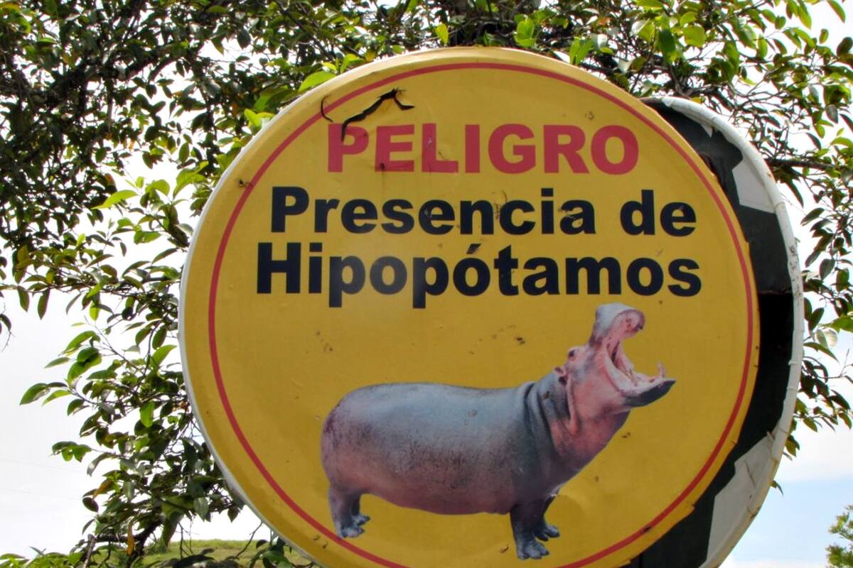Un cártel que advierte por la presencia de los hipopótamos