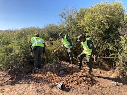Un centenar de gendarmes rastrillan un descampado lindero con el barrio en el que desapareció Guadalupe Lucero