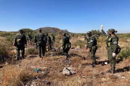 Un centenar de gendarmes rastrillaron un descampado en busca de pistas sobre el paradero de Guadalupe Lucero