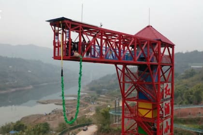 Un cerdo que fue empujado desde una torre de Bungee Jump en un parque de diversiones en China despertó una fuerte indignación