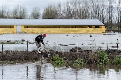 Un chacarero limpia una zanja para que escurra el agua de su establecimiento en Soldini, Santa Fe