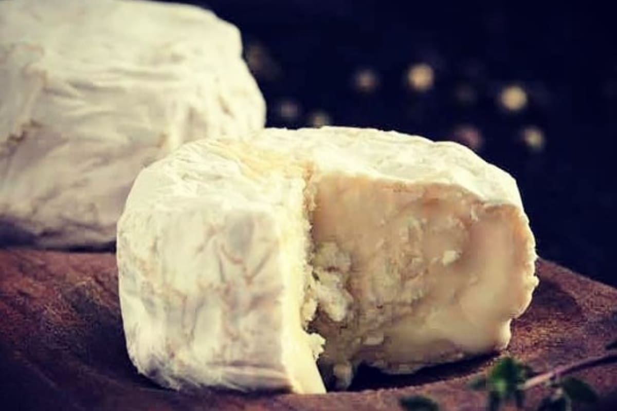 Un chèvre 100% de cabra, artesanal