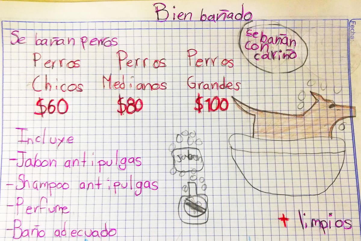 Un chico mexicano empezó su propio emprendimiento y lo viralizó a través de las redes sociales; promete que las mascotas terminan “más limpios y más felices”