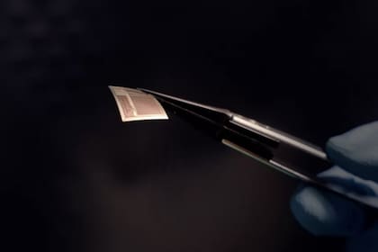 Un chip ultradelgado permite crear una conexión inalámbrica entre el cerebro y una computadora