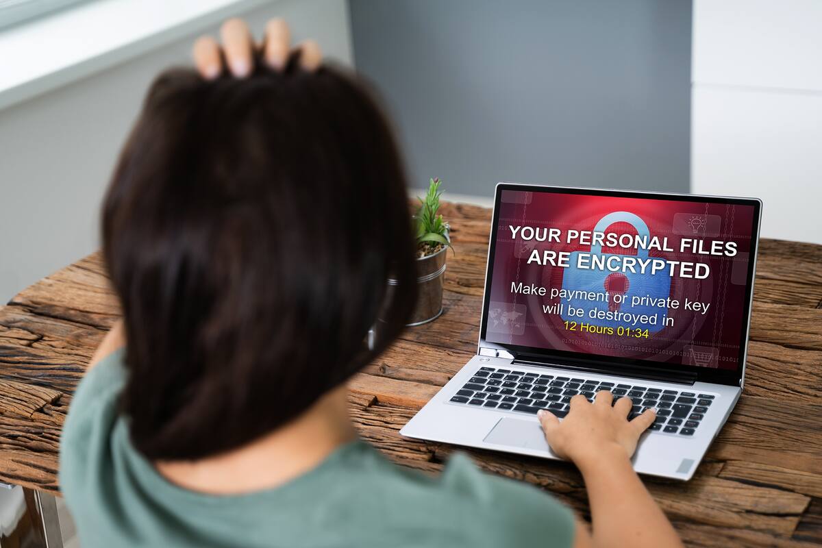 Un ciudadano alemán fue procesado por extorsionar a una joven con divulgar fotos y videos de contenido sexual