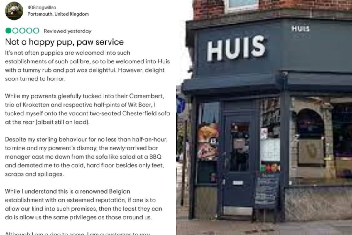 Un cliente de Huis escribió una reseña negativa en Tripadvisor con "perspectiva de perro" y se volvió el hazmerreír de las redes