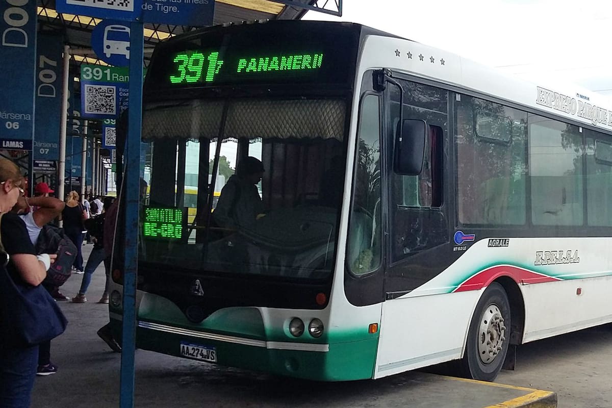 Un colectivero de la línea 391 fue asaltado y le cortaron un dedo