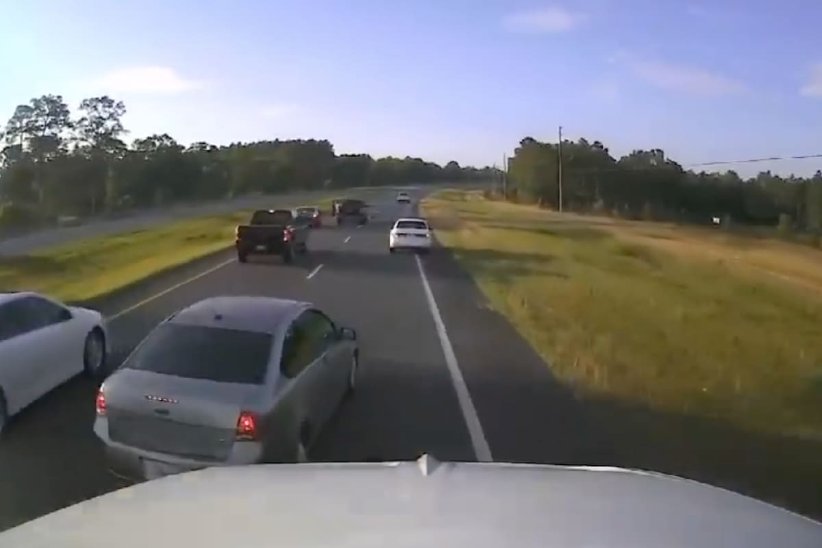 Un conductor de Florida quiso esquivar una tortuga en plena ruta y, al hacerlo, causó una fuerte colisión de varios vehículos