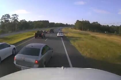 Un conductor de Florida quiso esquivar una tortuga en plena ruta y, al hacerlo, causó una fuerte colisión de varios vehículos