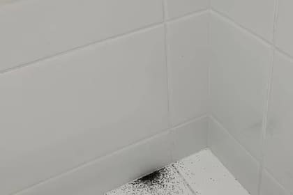 Un conjunto de polvo negro estaba en el baño de una mujer