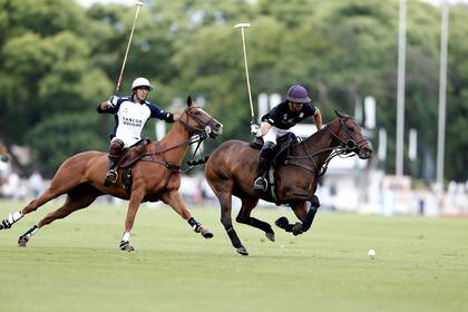 Un contexto diferente para la final de Tortugas 2020, con Ellerstina como favorito
