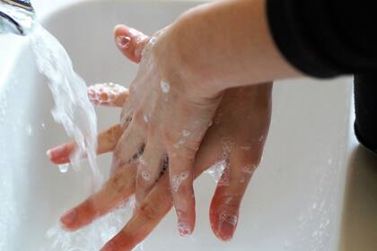 Un correcto lavado puede prevenir el contagio de muchas enfermedades. Fuente: Pixabay