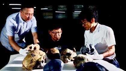 El cráneo fue descubierto por un equipo chino en la provincia de Hubei, en el centro de China, que los comparó con otras especies humanas