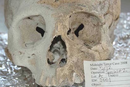 Un cráneo hallado en la Cueva del Terror en Belice