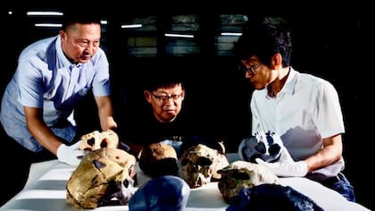 Un cráneo humano de un millón de años de antigüedad hallado en China "cambia totalmente" nuestra comprensión de la evolución humana, según los científicos.