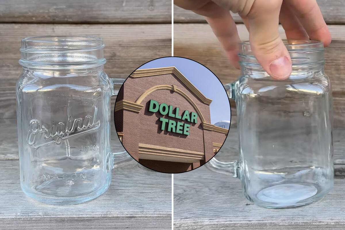 Un creador de contenidos comparó el precio y la calidad de una taza de vidrio con forma de jarra que compró en Dollar Tree con otra de Amazon