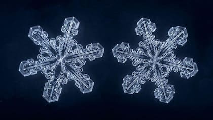 Un cristal de nieve se forma en las nubes cuando el vapor de agua se encuentra con pequeñas motas de polvo o polen