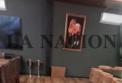 Un cuadro con una imagen de un caballo. En el piso hay dos copas, presumiblemente de las carreras de Máximo Toviggino