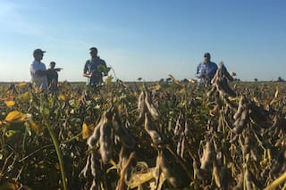 Qué revelan los indicadores de los farmers de EE.UU.: ¿están en crisis?